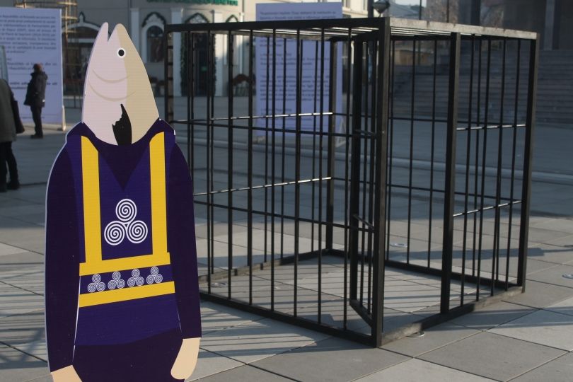 “Qeli e burgut” para Qeverisë