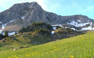 Sot Dita Ndërkombëtare e Maleve