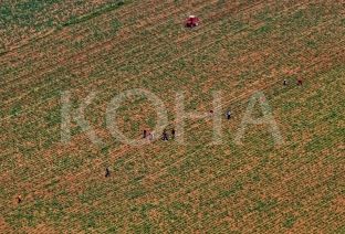 Toka bujqësore në Kosovë po humbet, alarmi tashmë i ka shkuar edhe BE-së [video]
