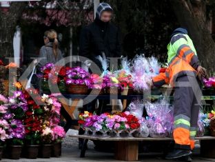 Ministrisë së Drejtësisë i dështon tenderi për furnizim me lule