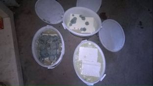 Djathë i mykur shitet në marketet tona, ndonëse ka afat përdorimi deri në janar ‘17 [foto]