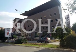 Akademia e Shkencave zgjedh akademikët e rinj