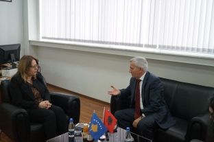  Ka shumë fusha ku bizneset nga Kosova e Shqipëria mund të përfitojnë shumë