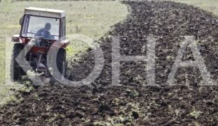  Hapet thirrja për fondin 23 milionësh për bujqësi [video] 
