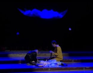 “Domosdoshmëritë e harrnuara” në DAM Festival