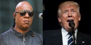 Wonder: Të votosh për Trumpin është si të më kërkosh të vozis