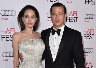 Pitt akuzon Jolien për shkelje të privatësisë së fëmijëve