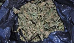 Armë dhe drogë, katër të ndaluar në Shkodër