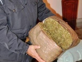 Kapen me dy tonë hashash, arrestohen 5 shqiptarë