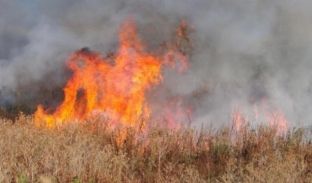 Në Mamushë 10 hektarë fushë shkrumbohen nga flakët