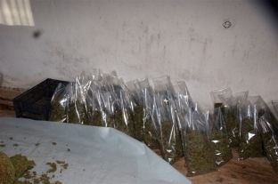 Policia në Nabergjan e Klinë konfiskon mbi 65 kg drogë, arreston 4 persona