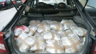  Në jug kthehen kontrolle të rrepta për zbulimin e marijuanës