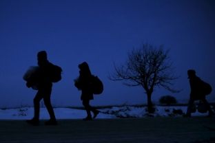 Kapen 27 migrantë ilegalë në Pogradec - ikën nga Selaniku