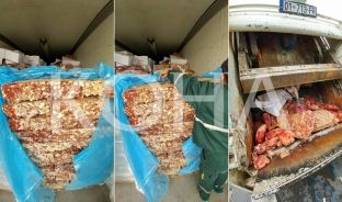 Dogana konfiskon mish pa afat me dokumentacion të falsifikuar nga Belgjika