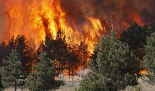 Zjarr në ishullin Sazan, zjarrfikësit nuk po ndërhyjnë