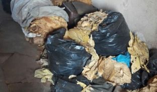 Kapen në Ferizaj mbi 300 kilogramë duhan i papërpunuar