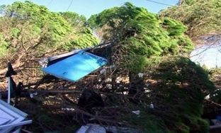  Stuhia godet Vlorën, ndërtesa e pemë të rrafshuara