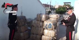 Kapen në Bari të Italisë 700 kg marijuanë nga Shqipëria