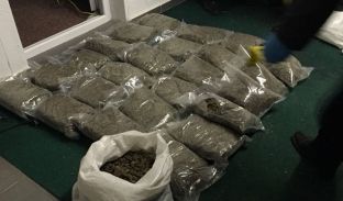 Konfiskohen mbi 8 kilogramë marihuanë, arrestohet një i dyshuar