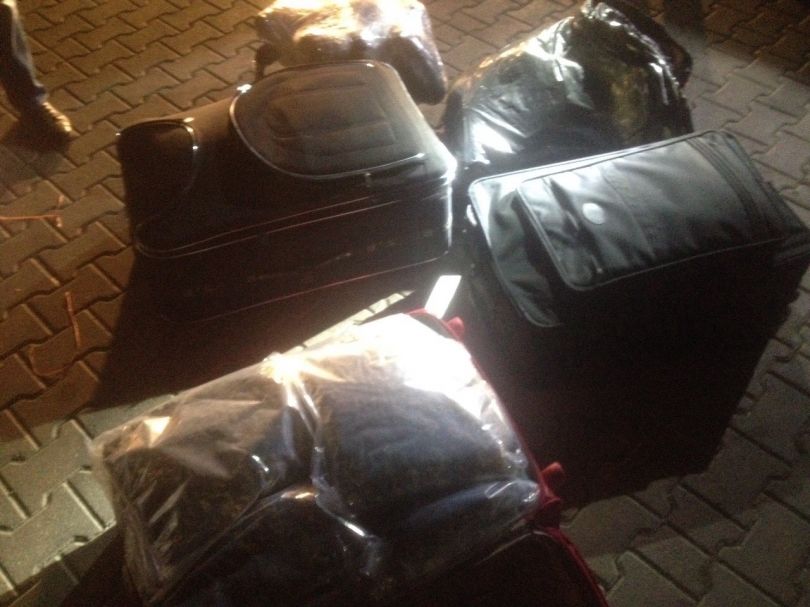 Konfiskohen 50 kilogramë marihuanë në Podujevë dhe arrestohen dy të dyshuar