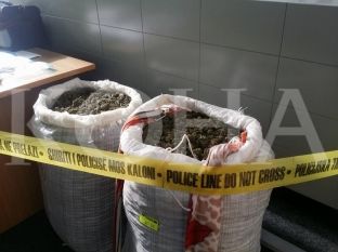 Në Bllacë konfiskohen 29 kg marihuanë  