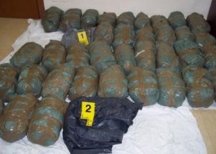 Në Fier arrestohet 25-vjeçi, iu gjetën 402 kg hashash