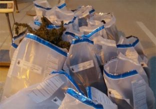 Kapen në Vlorë 103 kg kanabis, një i prangosur