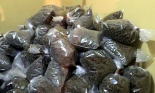 Kapen në portin e Durrësit 700 kg hashash