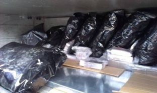 Shqiptari kapet në Greqi me 135 kg marijuanë të fshehur