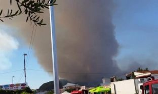 Zjarr në një stallë në Gjirokastër, digjen 40 bagëti 