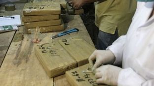 Serbia arreston dy shqiptarë me 15 kg marihuanë