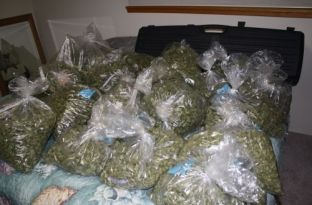 Te Vermica konfiskohen mbi 10 kg lëndë narkotike