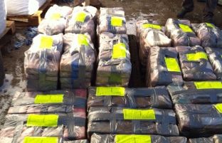 Në Itali sekuestrohen 510 kg marijuanë nga Shqipëria