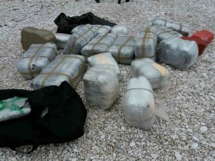 Sekuestrohen 500 kg kanabis në Vlorë