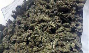 Sekuestrohen 425 kg hashash në Fushë-Krujë