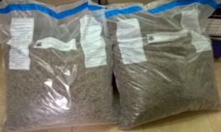 Sekuestrohen në Kukës 20 kg kanabis dhe arrestohen dy persona