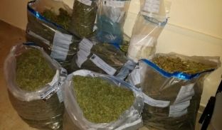 Konfiskohen 30 kg hashash në Elbasan, 3 të arrestuar dhe 2 në kërkim