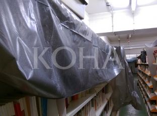 Pasuria e Bibliotekës Kombëtare edhe sivjet në bodrumet me ujë