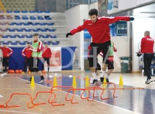 Gjermania, Anglia, Suedia, Zvicra e Shqipëria përfitojnë nga mjeshtëria e kosovarëve
