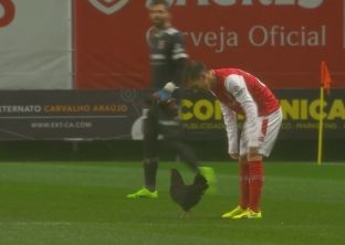  Pula ndërpret ndeshjen e futbollit në Portugali