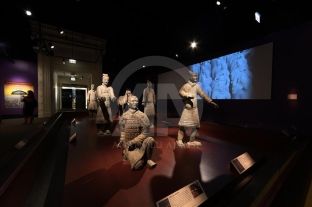 Në Chicago ekspozohen 170 skulptura të ushtrisë së lashtë kineze [foto]