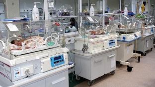 Në Etiopi lindin gjashtënjakë