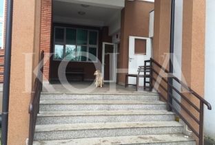 Qentë, “mbrojtësit” e QKUK-së [foto]