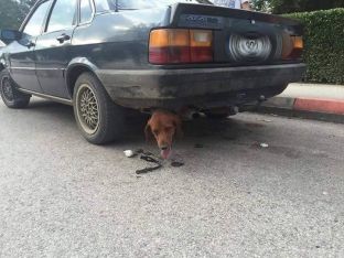 Si ka mundur të ndodhë kjo?
