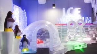 Magji akulli në minus 10 gradë Celsius në Seul