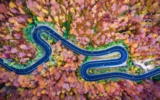 Bukuritë e stinës së vjeshtës [foto]