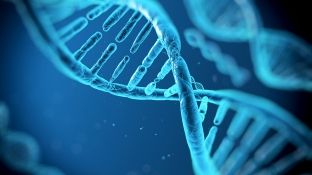 Studim i ri: në Universitet do të hyhet me…ADN