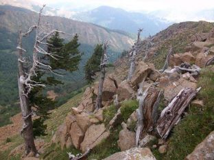 Pisha Flamur e Rrajcës, një kuriozitet për turizmin alpin