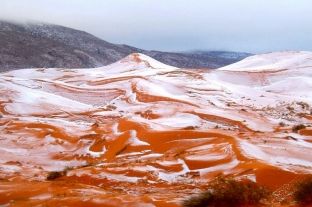 Pas 37 vitesh bie borë në Saharë [foto]