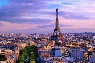  Parisi në hall me minjtë, dyfish më shumë se njerëz